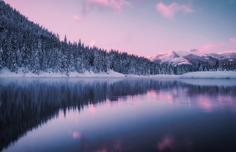Snow-covered Forest Lake — Purple, Serene, Winter