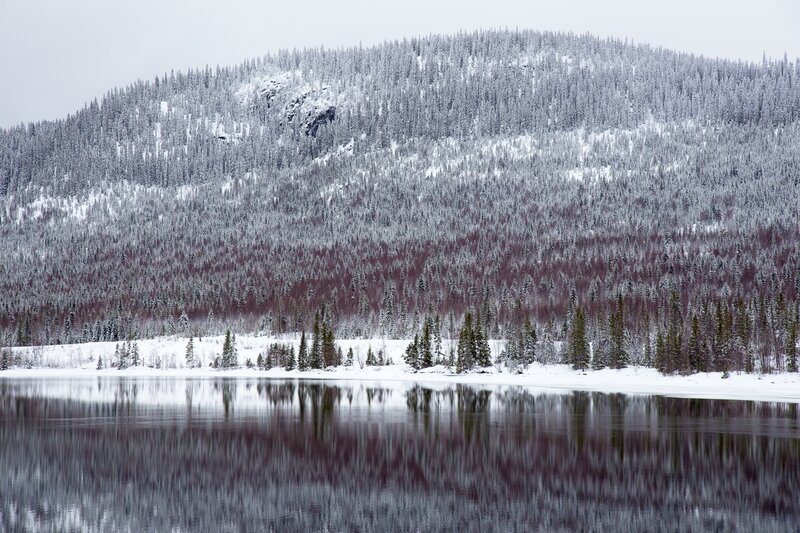 Snow-covered Forest Lake — White