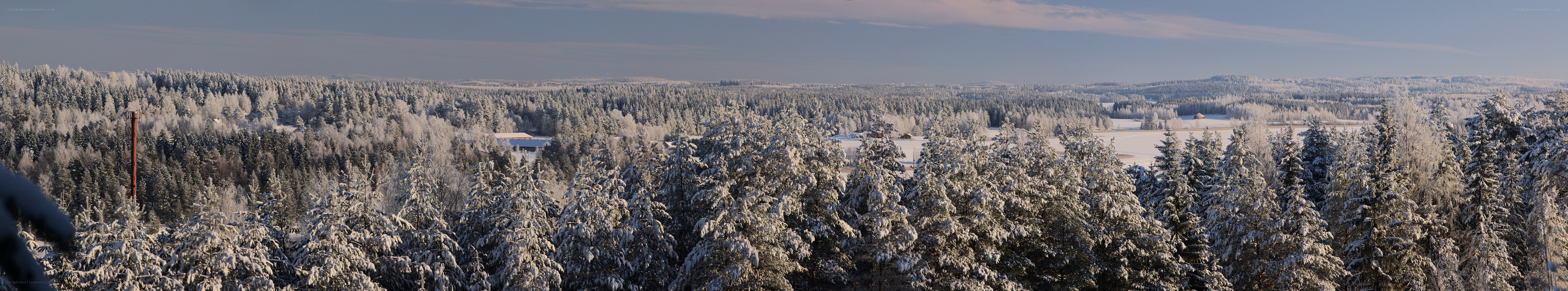 snow-covered forest landscape