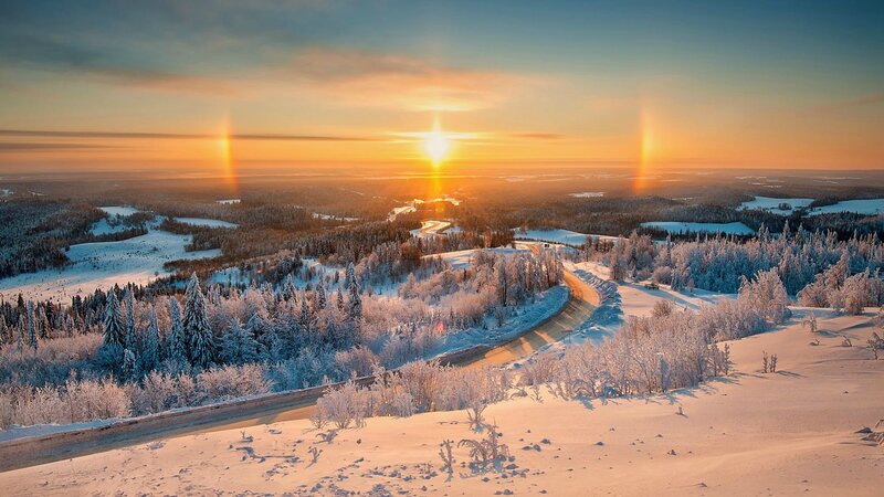 Snow-covered Forest Landscape — Orange, Serene, Winter