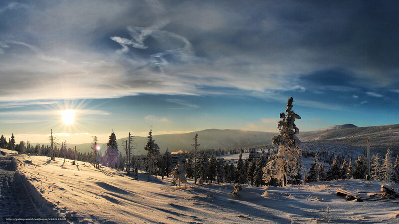 Snow-covered Forest Landscape — White, Serene, Winter, Photograph, Sun