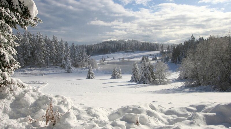 Snow-covered Forest Landscape — White, Serene, Winter, Photograph, Trees, Snow, Sky, Hill