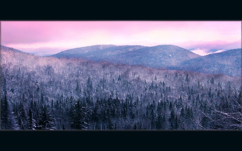 Snow-covered Forest Mountains — Purple
