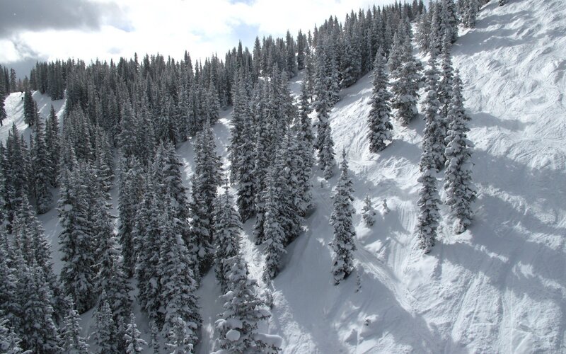 snow-covered forest on a mountain slope