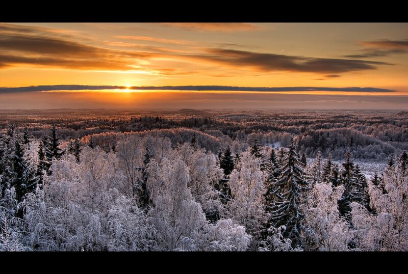 Snow-covered Forest — Orange, Serene, Sunset, Photograph