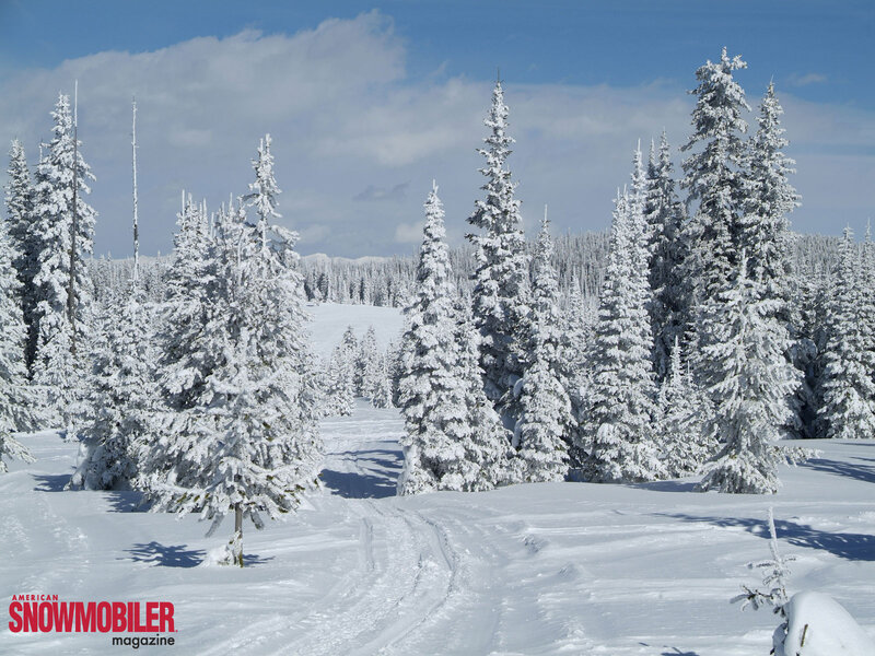 Snow-covered forest path
