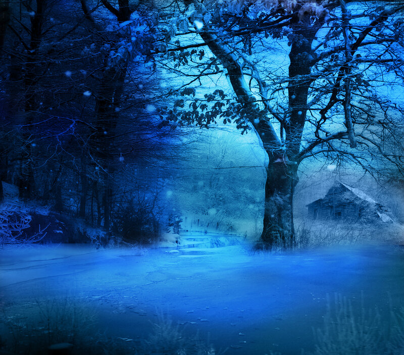 Snow-covered Forest Path — Blue, Cold