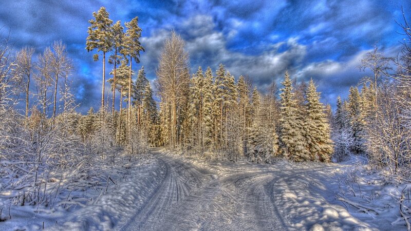Snow-covered Forest Path — Blue, Dramatic