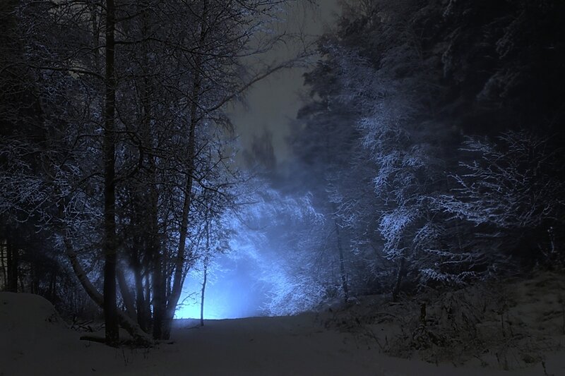 Snow-covered Forest Path — Blue, Mysterious