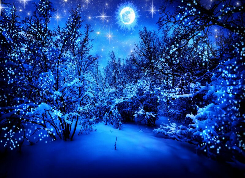Snow-covered Forest Path — Blue, Serene, Night, Digital Art, Trees, Moon