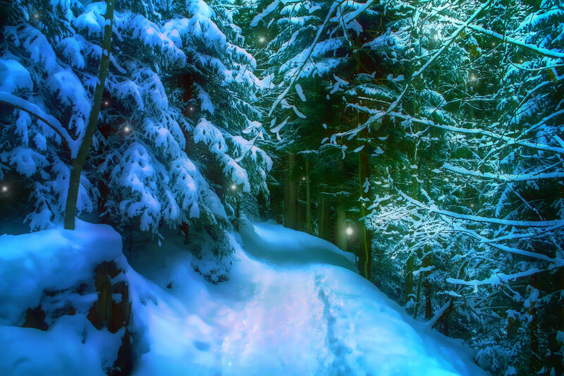 Snow-covered Forest Path — Blue, Serene, Night, Digital Art, Trees, Snow