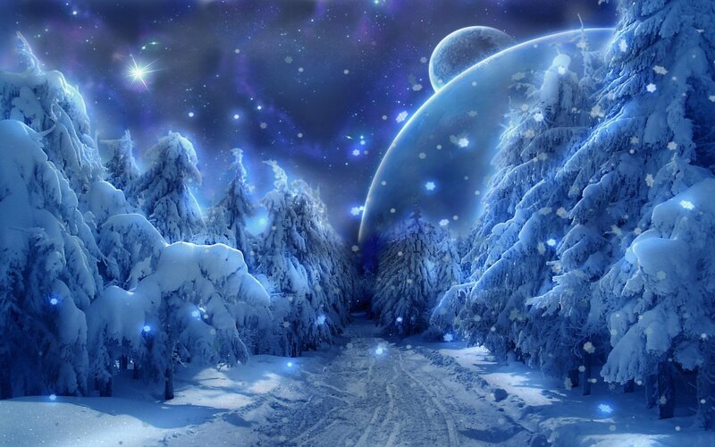 Snow-covered Forest Path — Blue, Serene, Night, Digital Art, Trees