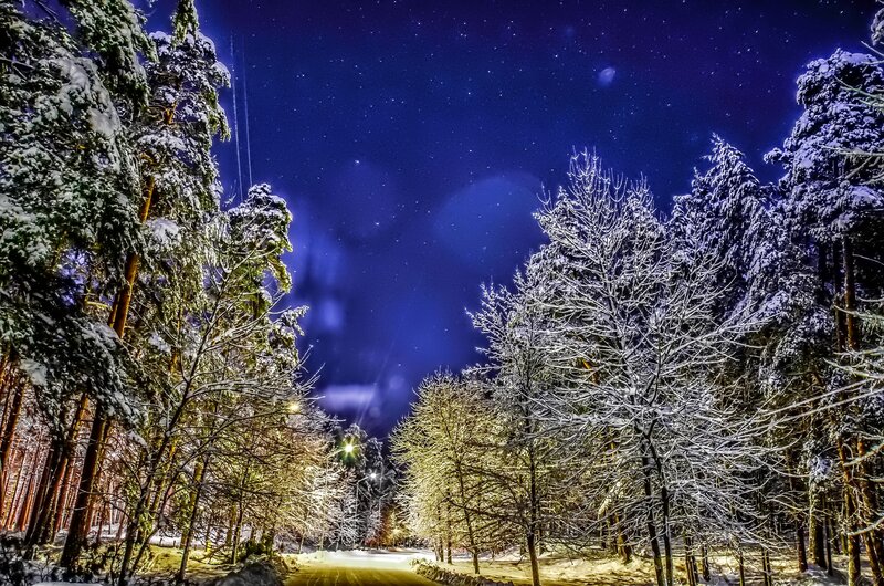 Snow-covered Forest Path — Blue, Serene, Night, Photograph, Trees, Road