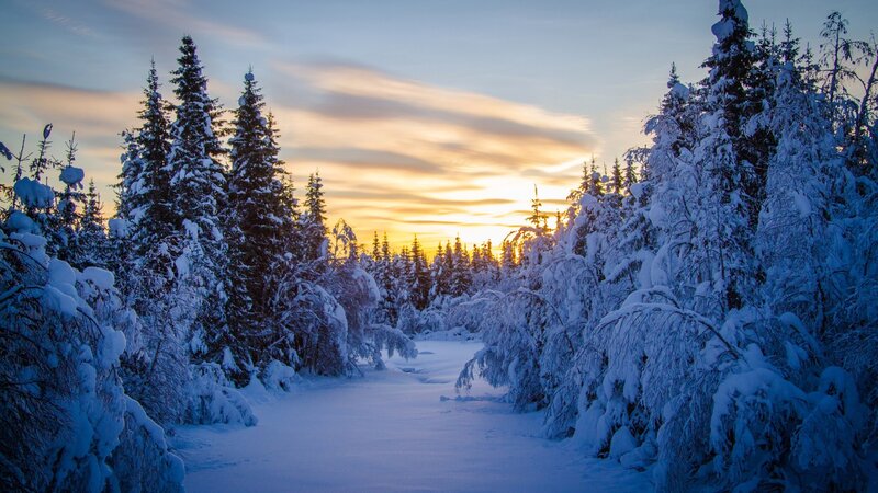 Snow-covered Forest Path — Blue, Serene, Sunset, Photograph, Trees, Snow, Sky