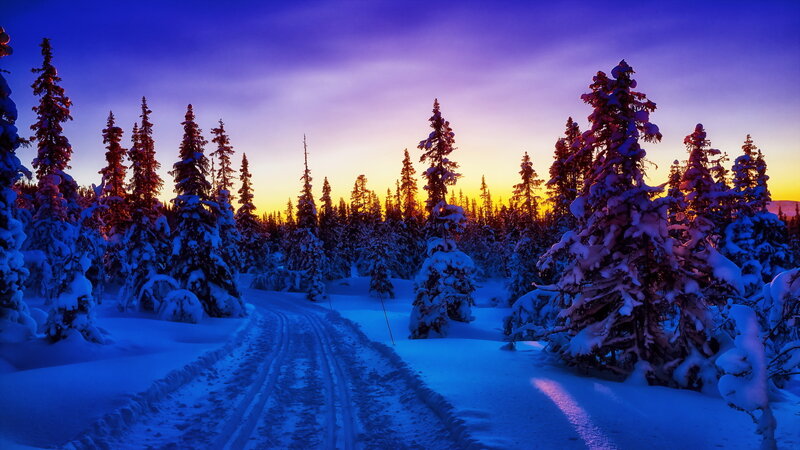 Snow-covered Forest Path — Blue, Serene, Sunset
