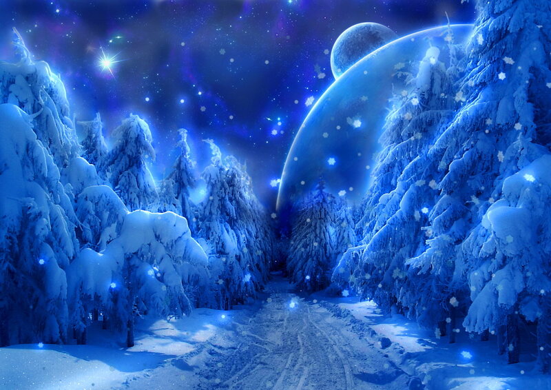 Snow-covered Forest Path — Blue, Serene