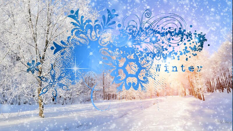 Snow-covered Forest Path — Blue, Serene, Winter, Digital Art, Snowflakes