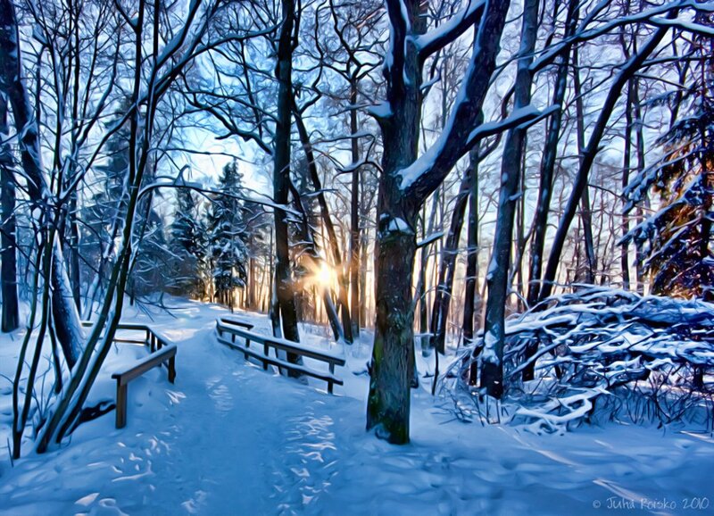 Snow-covered Forest Path — Blue, Serene, Winter, Digital Art