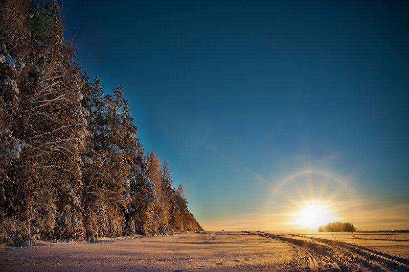 Snow-covered Forest Path — Blue, Serene, Winter, Photograph, Trees, Sun