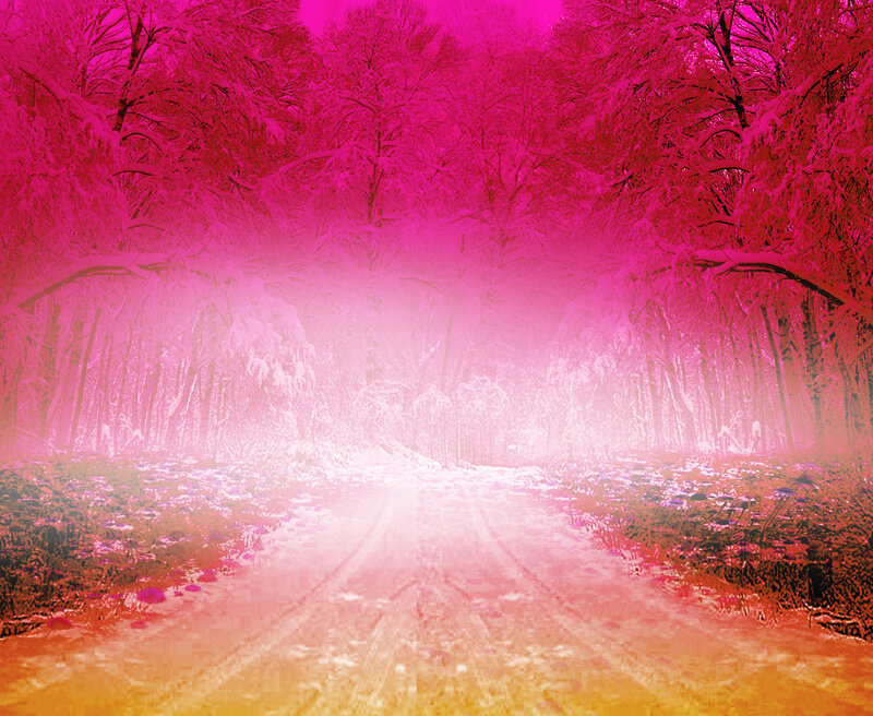 Snow-covered Forest Path — Pink