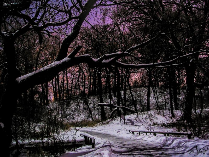 Snow-covered Forest Path — Purple, Dramatic