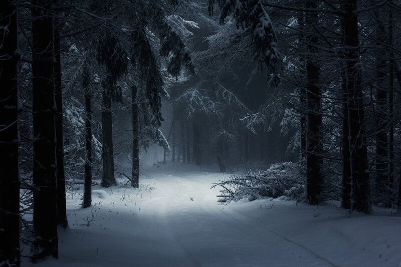 Snow-covered Forest Path — White, Dark, Winter