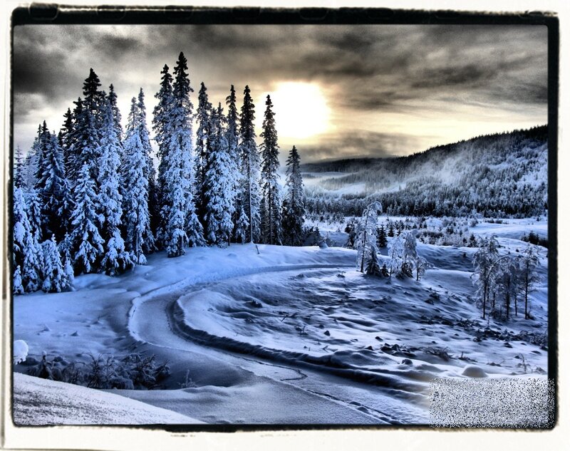Snow-covered Forest Path — White, Dramatic