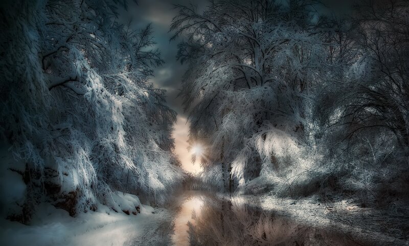Snow-covered Forest Path — White, Dramatic, Winter, Photograph, Trees, Snow, Sunlight