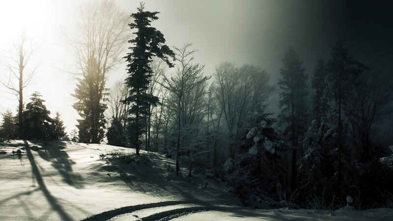 Snow-covered Forest Path — White, Dramatic, Winter, Photograph, Trees