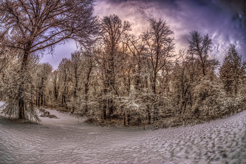 Snow-covered Forest Path — White, Dramatic, Winter