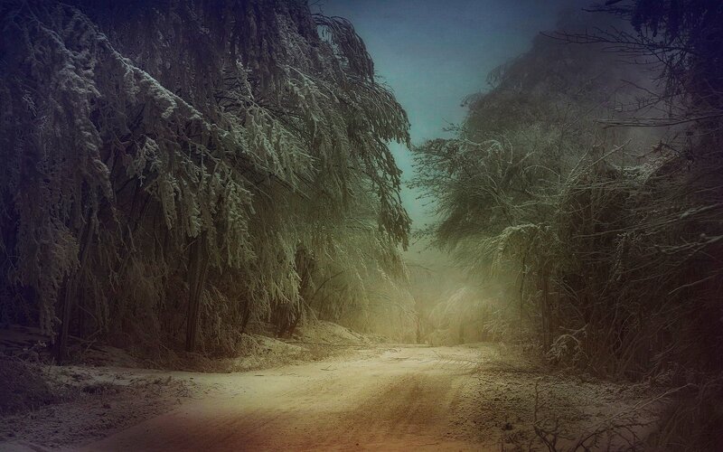 Snow-covered Forest Path — White, Dreary