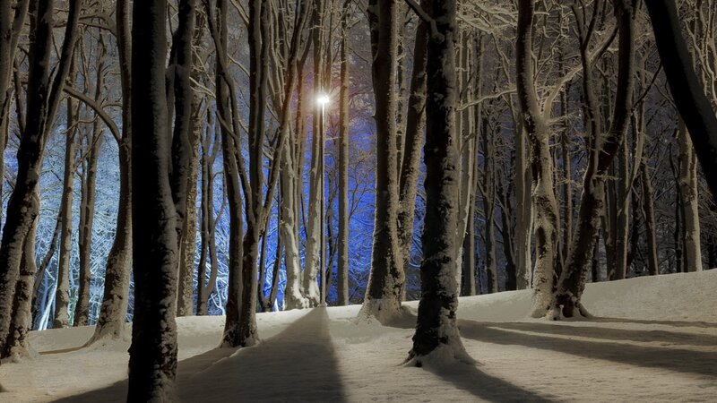 Snow-covered Forest Path — White, Serene, Night, Photograph, Trees, Streetlight