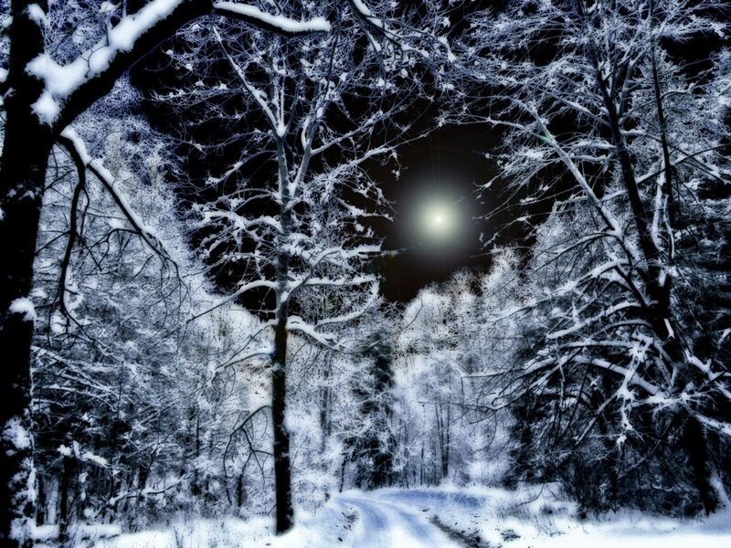Snow-covered Forest Path — White, Serene, Night