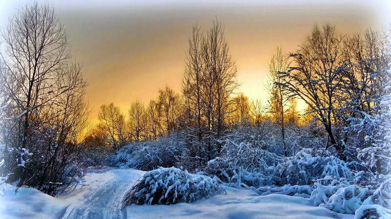 Snow-covered Forest Path — White, Serene, Sunset