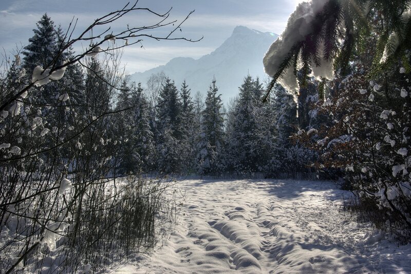 Snow-covered Forest Path — White, Serene, Winter, Photograph, Trees, Mountain