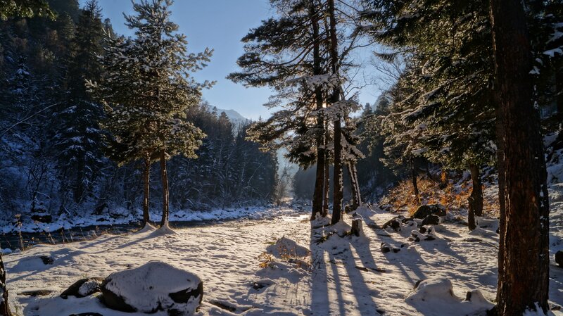 Snow-covered Forest Path — White, Serene, Winter, Photograph, Trees, River, Mountains