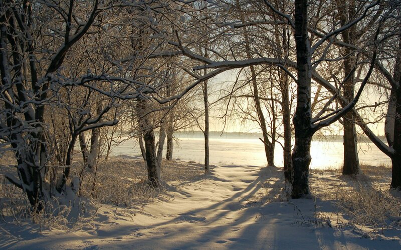 Snow-covered Forest Path — White, Serene, Winter, Photograph, Trees, River