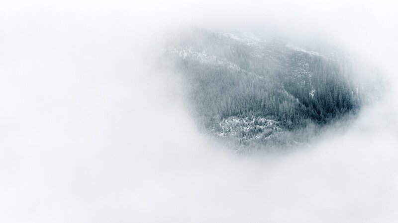 Snow-covered Forest Peak