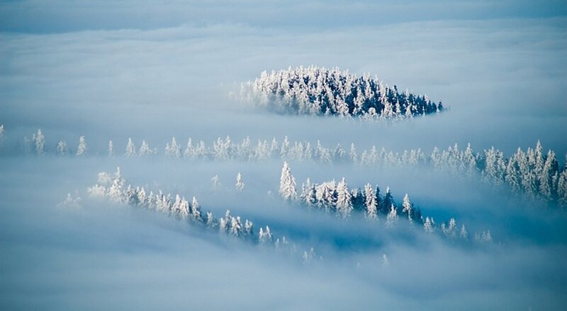 Snow-covered Forest Peaks
