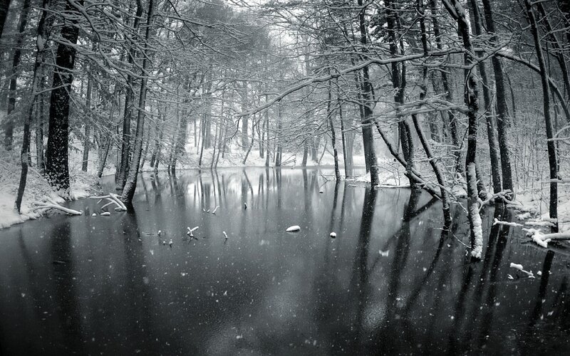 Snow-covered Forest Pond — Black