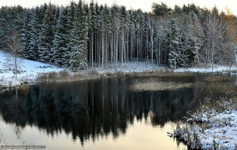 Snow-covered Forest Pond — Green, Serene