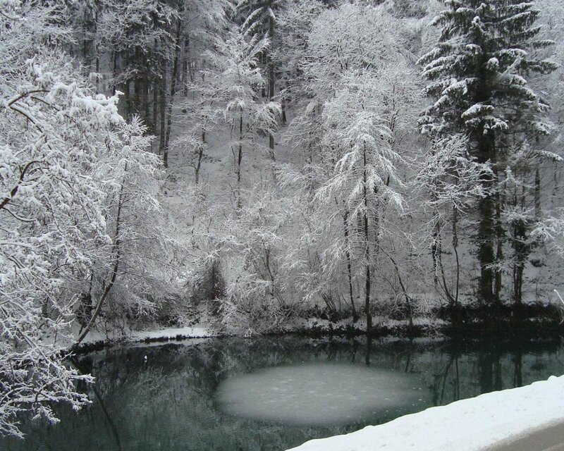 Snow-covered Forest Pond