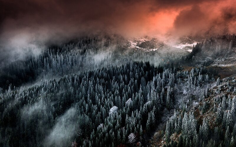 Snow-covered Forest — Red, Dramatic, Winter