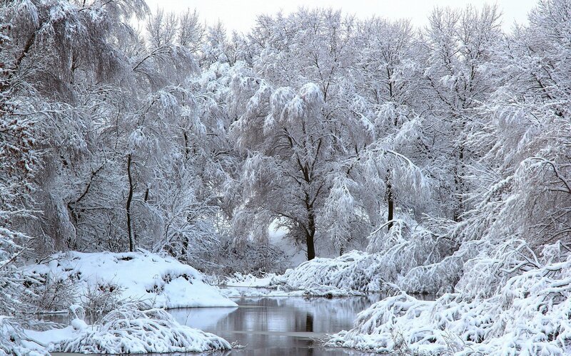 Snow-covered forest river