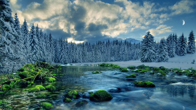 Snow-covered Forest River — Blue, Serene