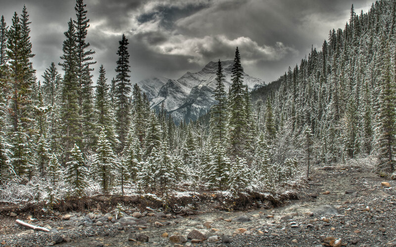 Snow-covered Forest River — Gray