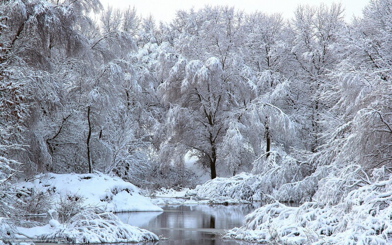 Snow-covered forest river