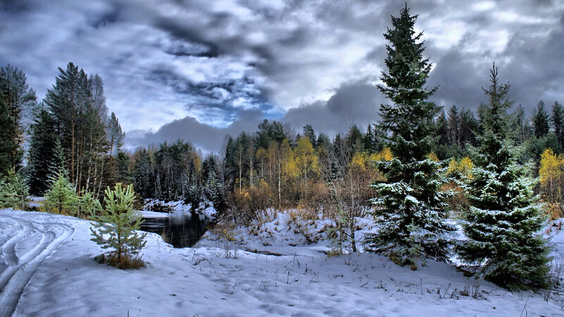 Snow-covered Forest River — White, Dramatic