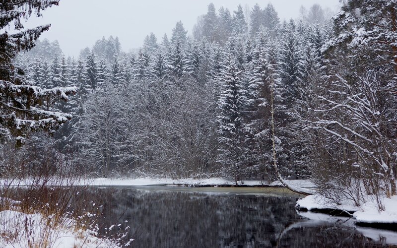 Snow-covered Forest River — White, Serene, Winter, Photograph, Trees
