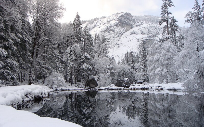 Snow-covered Forest River — White